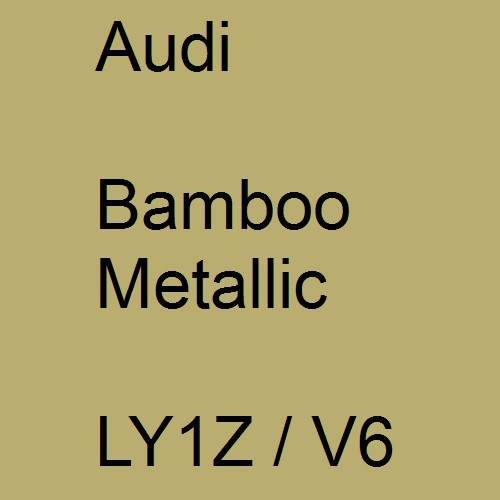 Audi, Bamboo Metallic, LY1Z / V6.